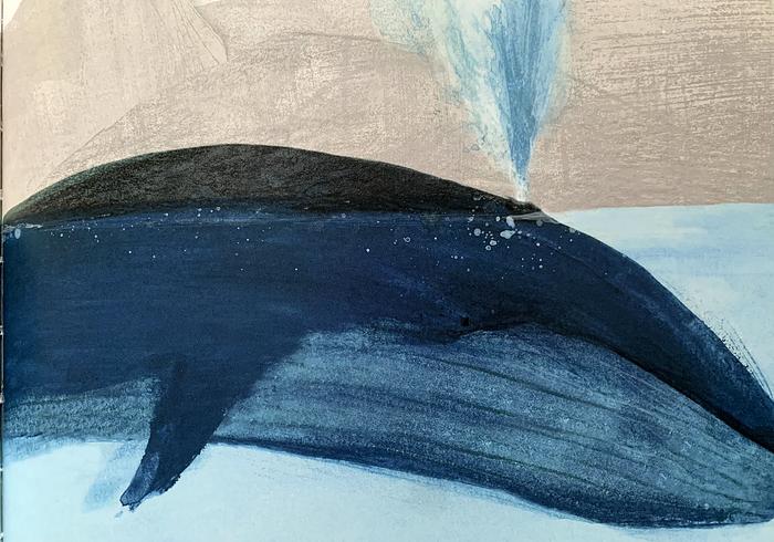 De blauwe vinvis