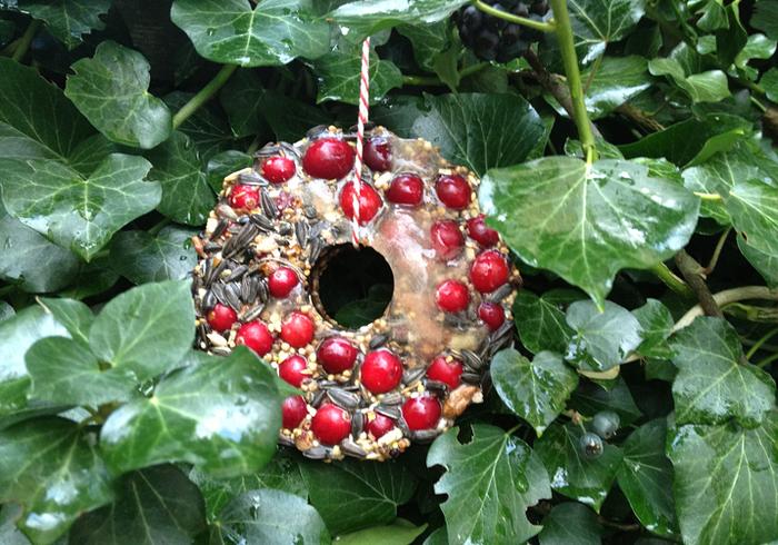 Kerstkrans voor vogels