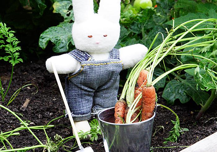 Maak zelf een moestuintje