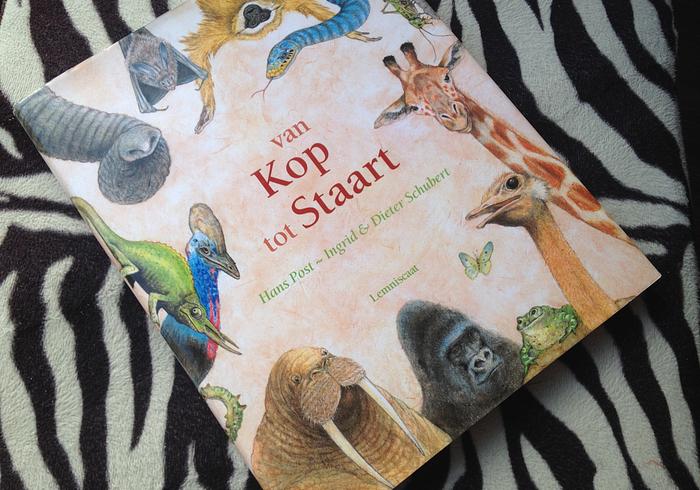 Van kop tot staart