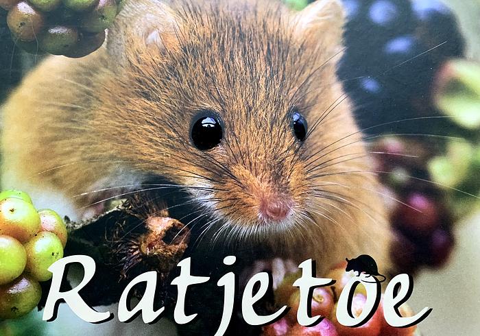 Ratjetoe