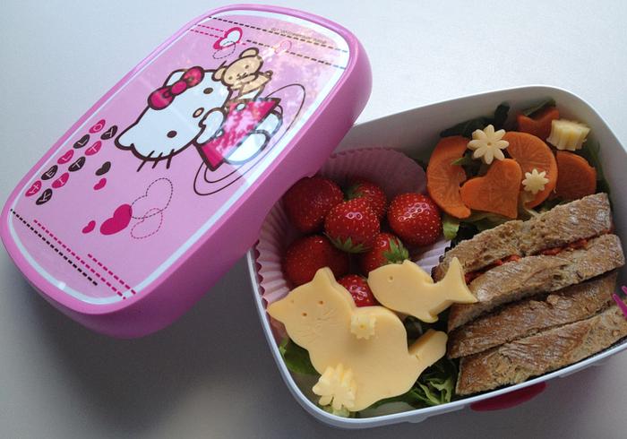 De Japanse Bento