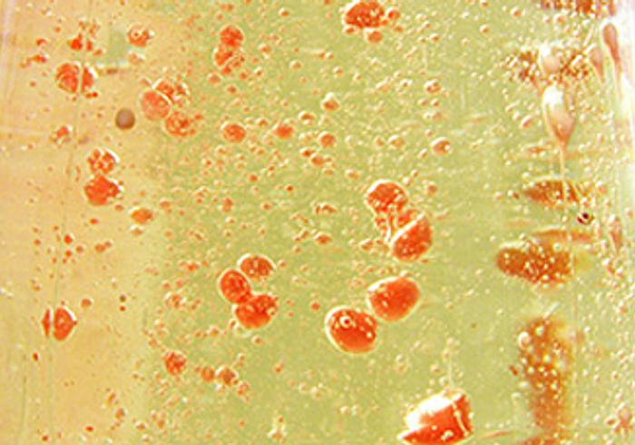 Cool experimentje 