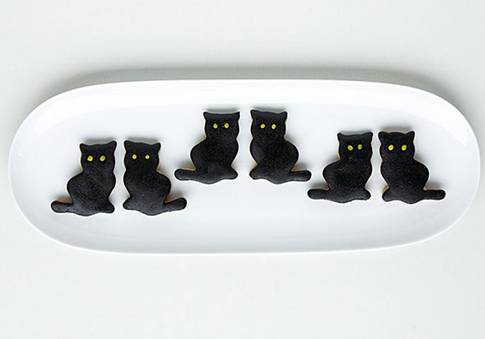 Bak zwarte heksenkatten