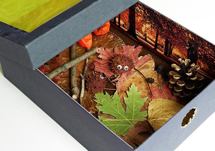 Herfstkijkdoos
