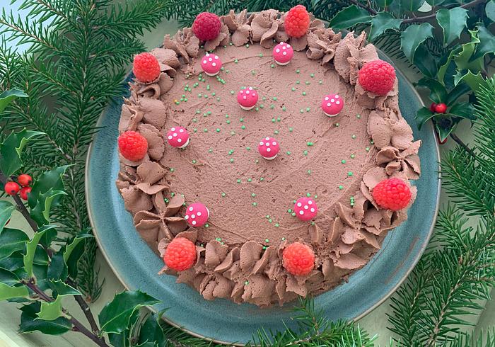 Een chocolade cake voor kerst