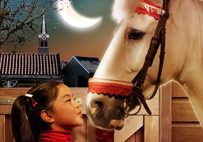 Het paard van Sinterklaas
