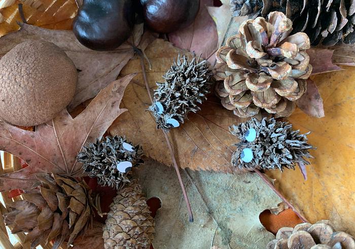Egeltjes winterslaap