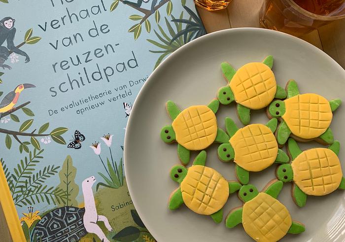 We bakken zeeschildpadjes