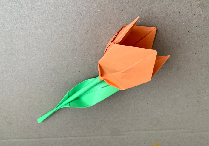 Origami tulpen sidepicll