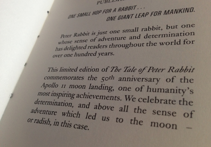 Peter rabbit 03