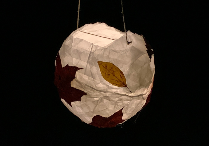Herfst lampion sidepicll