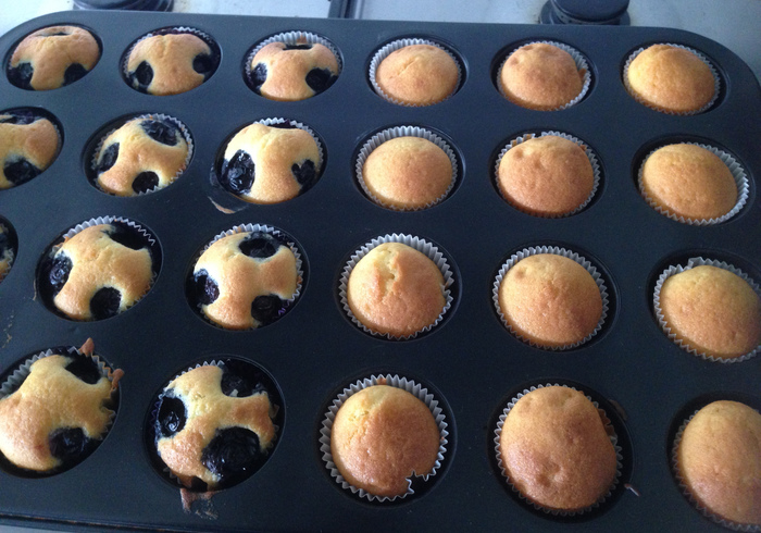 Blueberry muffins 12