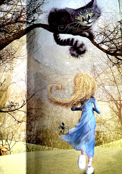Alice in wonderland 03