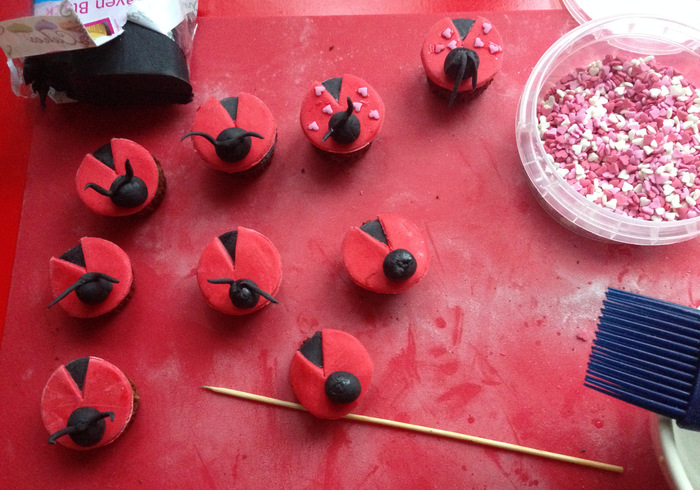 Lady bug cupcakes 15