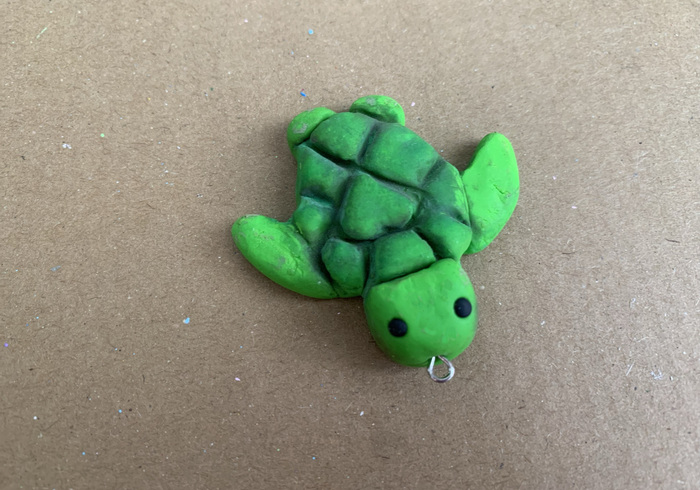 Zeeschildpadjes 31