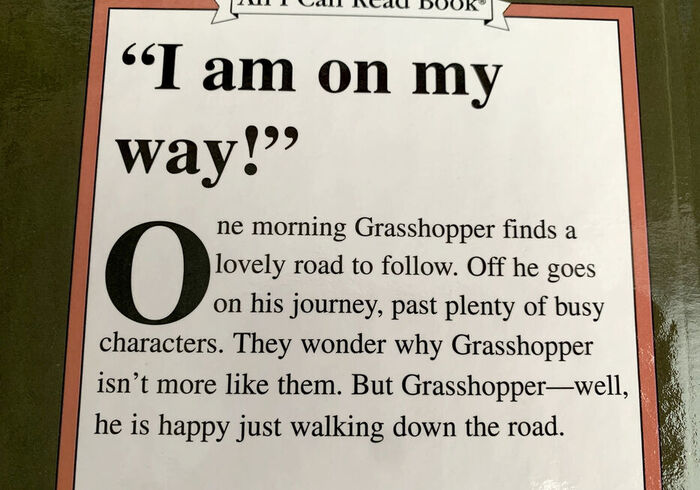 Grasshopper on the road sidepicll