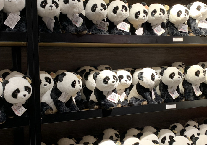 Panda shop 13