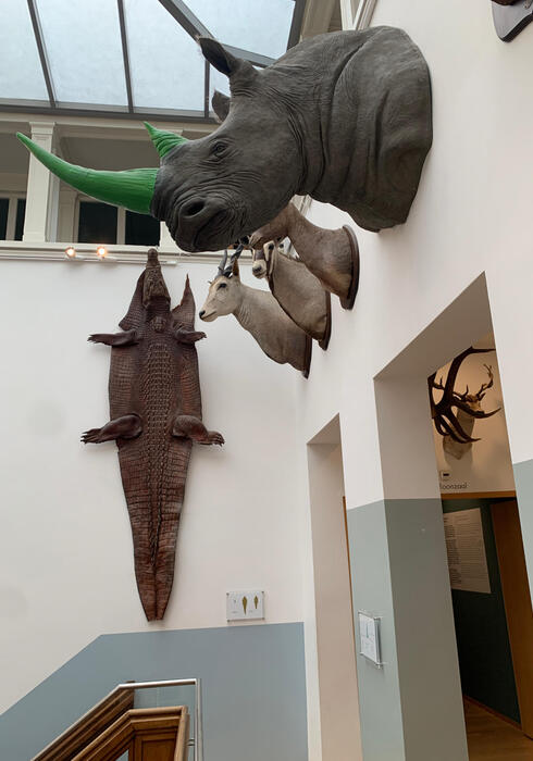 Natuurhistorisch museum 14