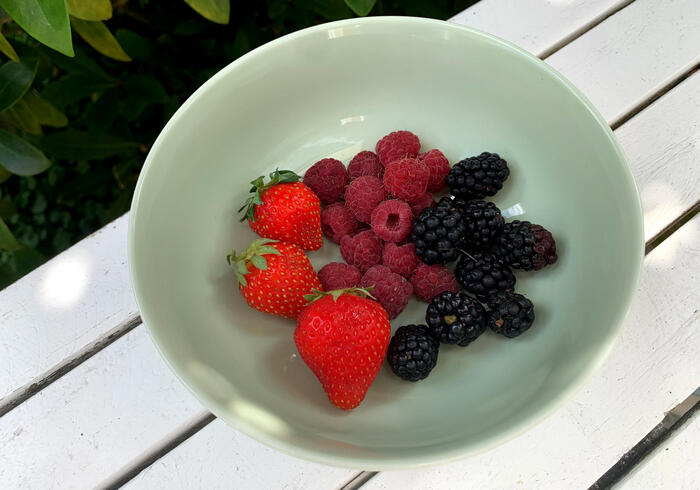 Fruitoogst homepage