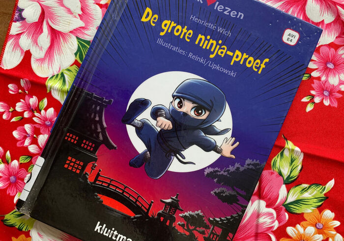 De grote ninja proef homepage