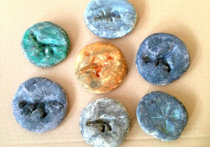 Dino fossils homepage