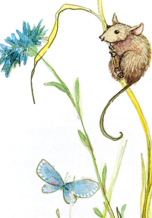 Een eiland vol dieren 01