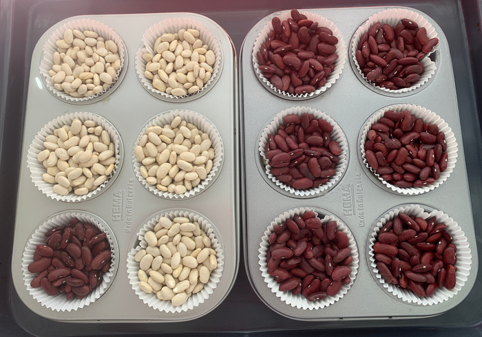 Zomergebakjes met frambozen 06