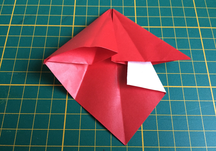 Origami paddenstoel 14