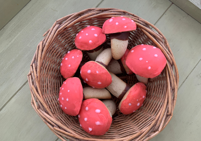 Paddenstoel koekjes homepage