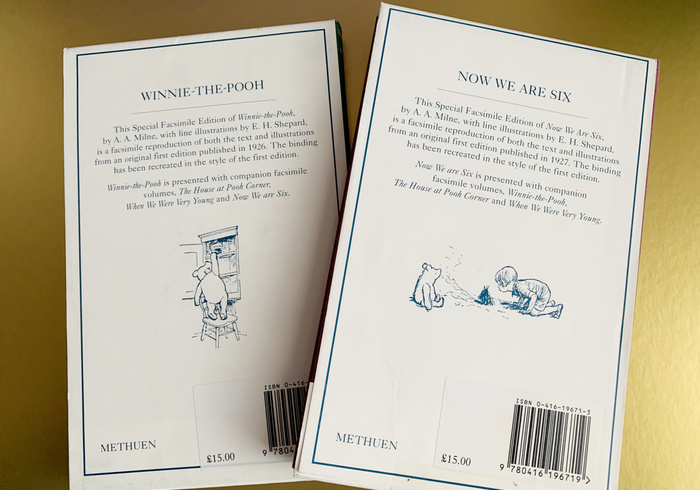Winnie the pooh sidepicll