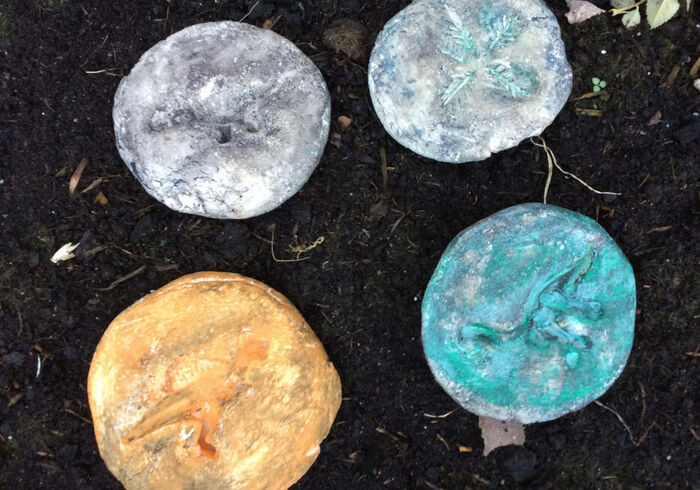 Dino fossils 16