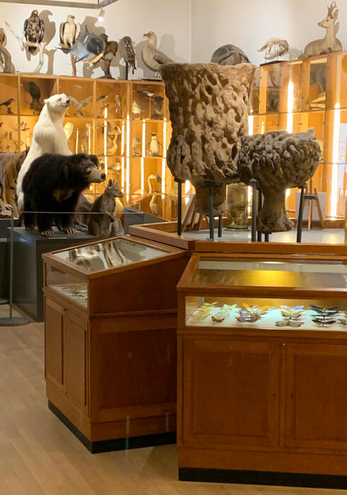 Natuurhistorisch museum 03