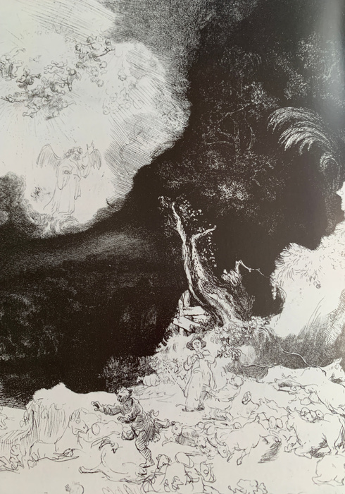 Rembrandt see and do 02