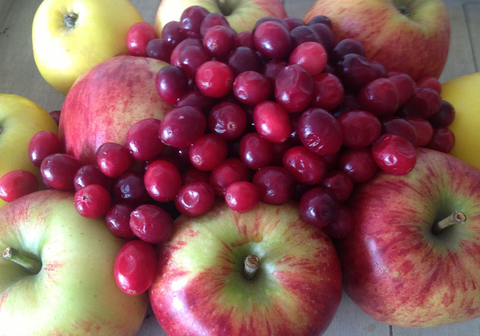 Apple cranberry chutney side