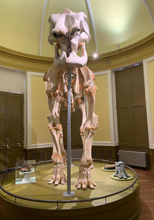 Natuurhistorisch museum 05