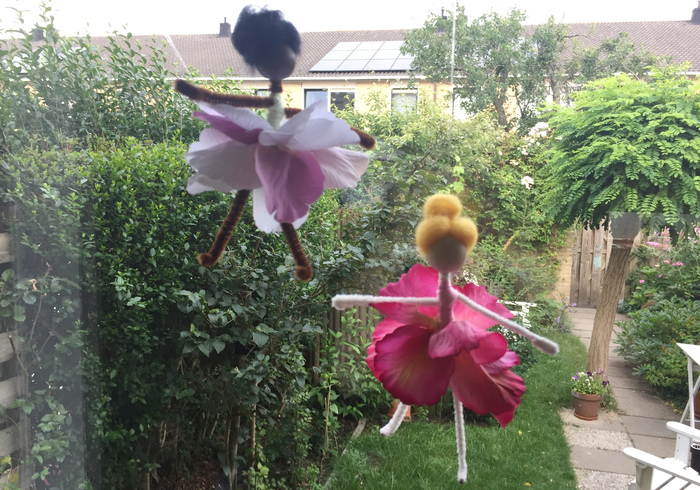 Flower fairies home
