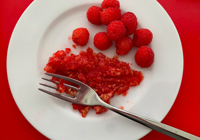Rasberry sherbet 14