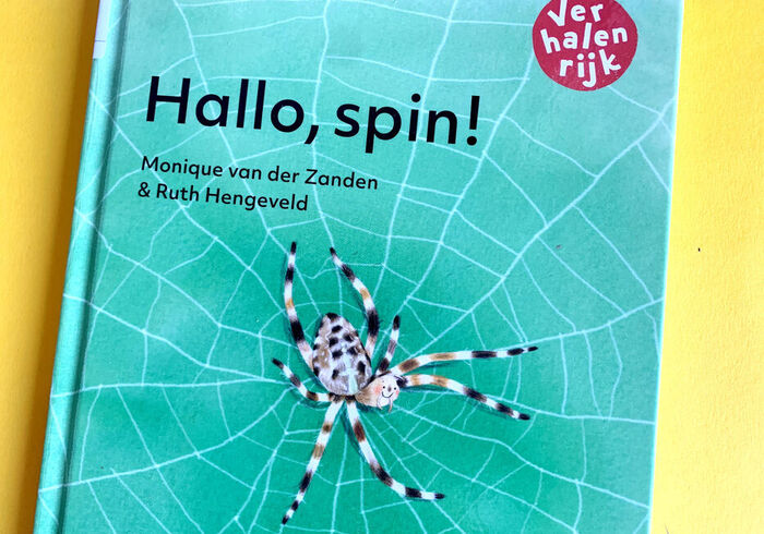 Hallo  spin! homepage