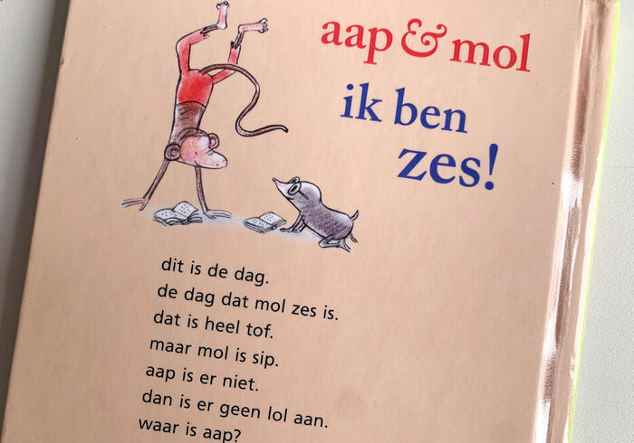 Ik ben zes! sidepicll