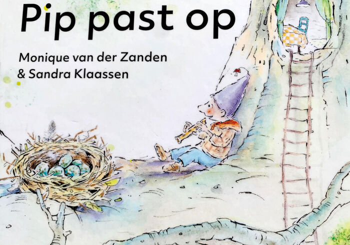 Pip past op homepage