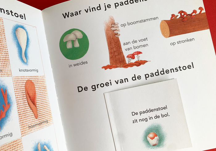 De paddenstoel 01