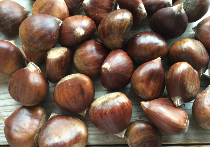 Roasted chestnuts sidepic