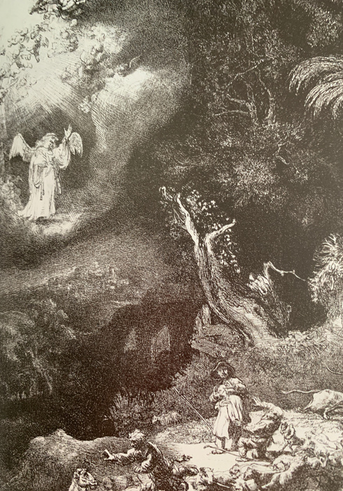 Rembrandt see and do 03