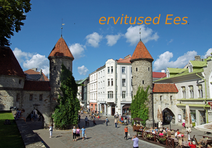 Estonia side pic