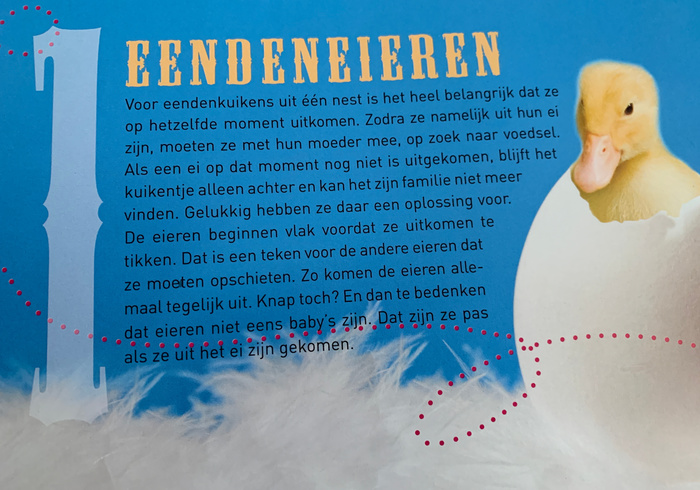 Superslimme dieren 01