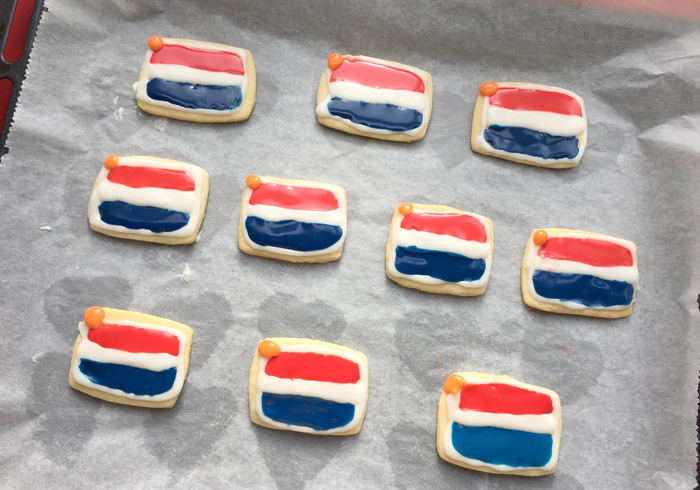 Dutch flags 21