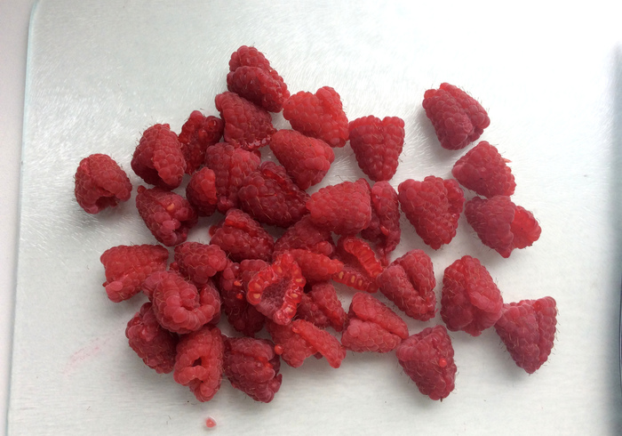 Tiramisu raspberries 02