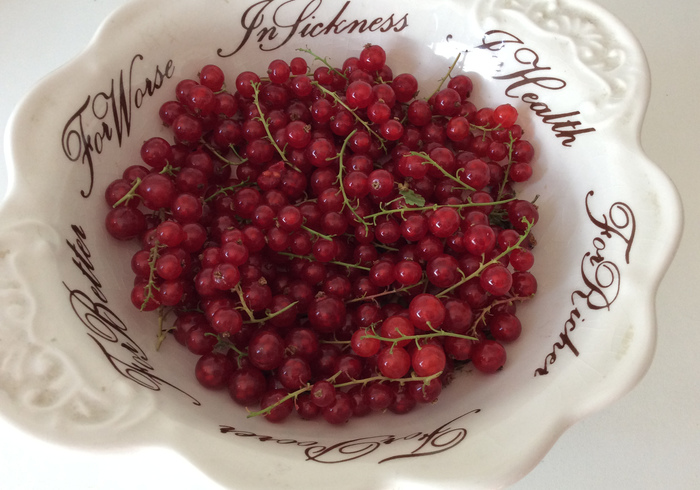 Red currants side
