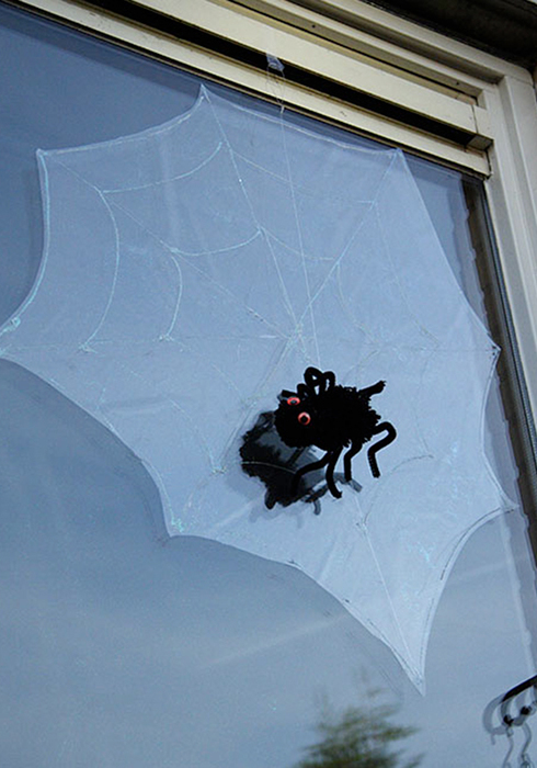 Spider in web 13